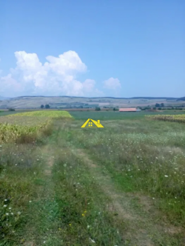 teren-intravilan-in-cartierul-micesti