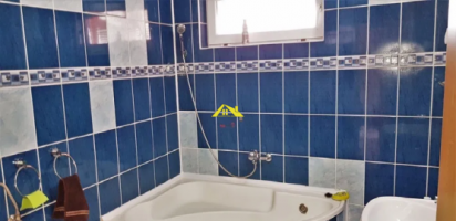 casa-in-regim-cuplat-de-vanzare-alba-micesti-4