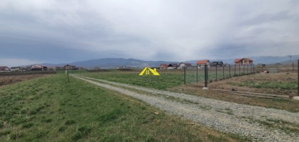 teren-intravilan-de-vanzare-orizont-1