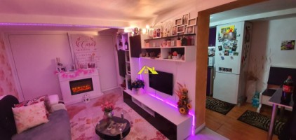 apartament-la-vila-3-camere-alba-micesti-8