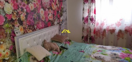 apartament-la-vila-3-camere-alba-micesti-9