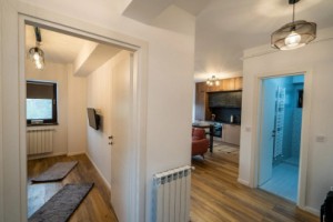 apartament-o-camera-tip-studio-etaj-1-bloc-noumobilat-si-utilat-3