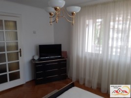 vila-6-camere-suprafata-230-mp-teren-400-mp-pret-155-000-eur-campulung-muscel-17