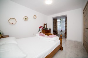 inchiriere-apartament-2-camere-bucsinescu-14