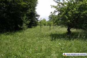 teren-extraintravilan-7850-mp-cu-livada-in-valea-barbusii-chilii-campulung-muscel-arges-ideal-pentru-agricultura-si-investitii-4