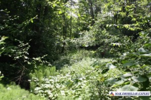 teren-extraintravilan-7850-mp-cu-livada-in-valea-barbusii-chilii-campulung-muscel-arges-ideal-pentru-agricultura-si-investitii-11