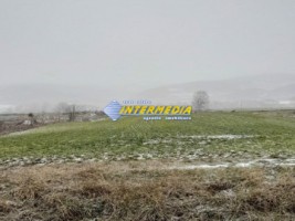 teren-extravilan-de-vanzare-in-vintu-de-jos-in-suprafata-de-5700-mp-1