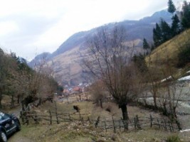 teren-extravilan-1524-mp-in-rucar-arges-investitie-in-natura-perfect-pentru-proiecte-de-vacanta