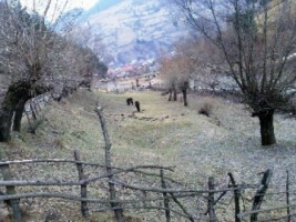 teren-extravilan-1524-mp-in-rucar-arges-investitie-in-natura-perfect-pentru-proiecte-de-vacanta-1