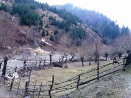 teren-extravilan-1524-mp-in-rucar-arges-investitie-in-natura-perfect-pentru-proiecte-de-vacanta-5