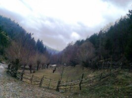 teren-extravilan-1524-mp-in-rucar-arges-investitie-in-natura-perfect-pentru-proiecte-de-vacanta-9