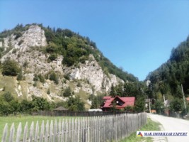 vila-de-munte-6-camere-teren-373-mp-podul-dambovitei-dambovicioara-arges-80