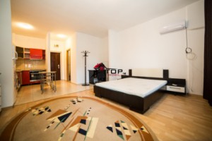 apartament-1-camera-granit-4