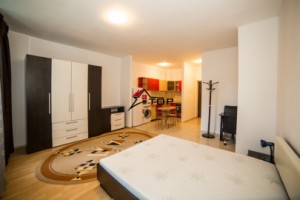 apartament-1-camera-granit-3