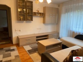 apartament-2-camere-careiului-mobilat-id-22215-6