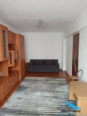 apartament-2-camere-decomandat-mobilat-zona-cetate-5