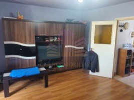 apartament-1-camera-zona-dambu-1