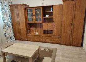 apartament-cu-2-camere-dambu-pietros-3