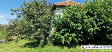 casa-musceleana-3-camere-teren-8364-mp-berevoiesti-4