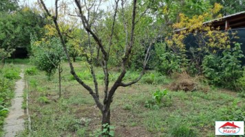 casa-dpe-cu-teren-769-mp-semicentral-id-22548-10