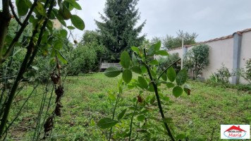 casa-dpe-cu-teren-769-mp-semicentral-id-22548-12