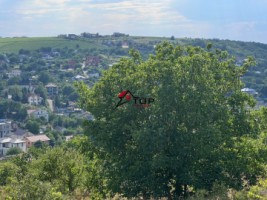 teren-de-vanzare-cu-priveliste-panoramica-9