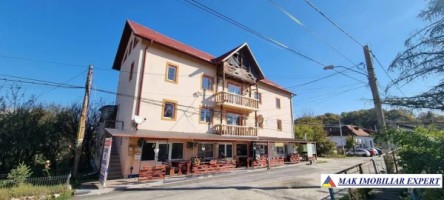 de-vanzare-pensiune-cu-7-camere-spatiu-comercial-si-teren-de-640-mp-stalpeni-arges