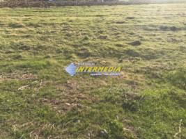 teren-intravilan-de-vanzare-zona-sard-parcele-intre-750-mp-si-1300-mp-toate-utilitatile