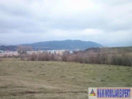 vand-teren-intravilan-8400-mp-cretisoara-arges-ideal-pentru-dezvoltare-rezidentiala-sau-turistica