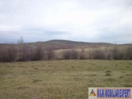 vand-teren-intravilan-8400-mp-cretisoara-arges-ideal-pentru-dezvoltare-rezidentiala-sau-turistica-1