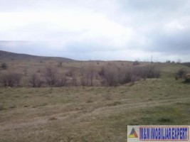 vand-teren-intravilan-8400-mp-cretisoara-arges-ideal-pentru-dezvoltare-rezidentiala-sau-turistica-3