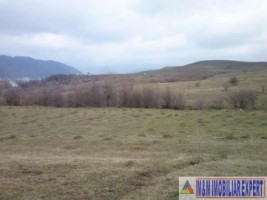 vand-teren-intravilan-8400-mp-cretisoara-arges-ideal-pentru-dezvoltare-rezidentiala-sau-turistica-5