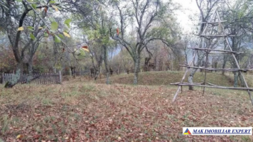 teren-extravilan-5000-mp-nucsoara-arges-ideal-pentru-agricultura-1