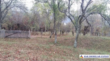 teren-extravilan-5000-mp-nucsoara-arges-ideal-pentru-agricultura-3