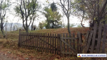 teren-extravilan-5000-mp-nucsoara-arges-ideal-pentru-agricultura-4