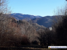 teren-extravilan-5000-mp-nucsoara-arges-ideal-pentru-agricultura-5