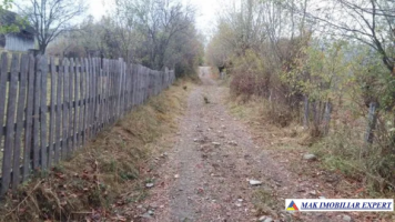 teren-extravilan-5000-mp-nucsoara-arges-ideal-pentru-agricultura-6