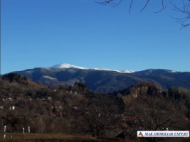 teren-extravilan-5000-mp-nucsoara-arges-ideal-pentru-agricultura-7