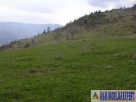 teren-extravilan-37-ha-de-vanzare-rucar-arges-potrivit-pentru-activitati-agricole-sau-proiecte-de-ecoturism-3