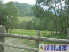 teren-intravilan-16-ha-de-vanzare-rucar-satic-arges-ideal-pentru-dezvoltari-turistice-sau-rezidentiale-1