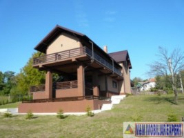vila-7-camere-teren-13-ha-albestii-de-muscel