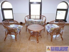 vila-7-camere-teren-13-ha-albestii-de-muscel-2