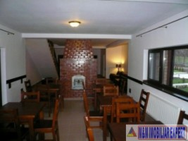 vila-7-camere-teren-13-ha-albestii-de-muscel-4