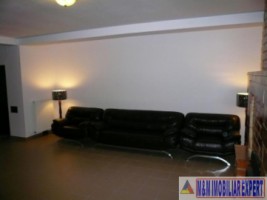 vila-7-camere-teren-13-ha-albestii-de-muscel-5