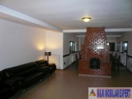 vila-7-camere-teren-13-ha-albestii-de-muscel-6