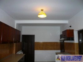 vila-7-camere-teren-13-ha-albestii-de-muscel-7