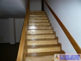 vila-7-camere-teren-13-ha-albestii-de-muscel-10
