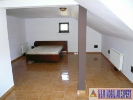vila-7-camere-teren-13-ha-albestii-de-muscel-11