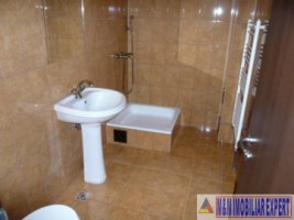 vila-7-camere-teren-13-ha-albestii-de-muscel-12