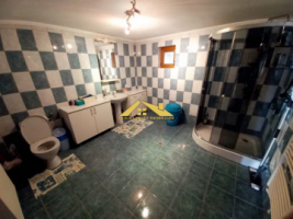 casa-individuala-de-vanzare-micesti-6